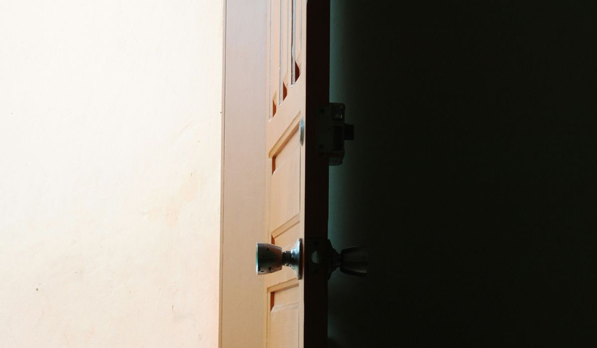 telecamera con app sul cellulare